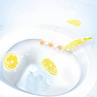 Hanger Toilet Cleaner Lemon 1 Count