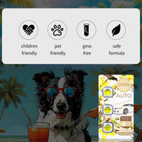 Vanilla Bean 0.14 oz 3 Pack